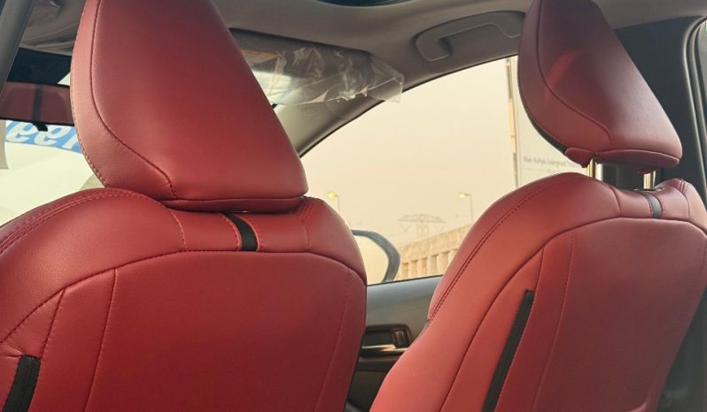 
								Toyota levin Night Edtion full									