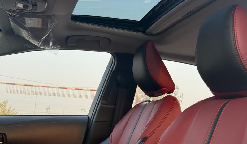 
								Toyota levin Night Edtion full									