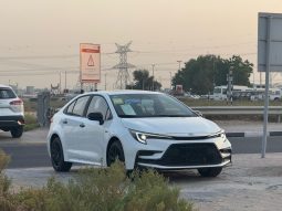 
										Toyota levin Night Edtion full									