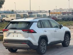 
										Rav4  2.5 hybrid luxury full									