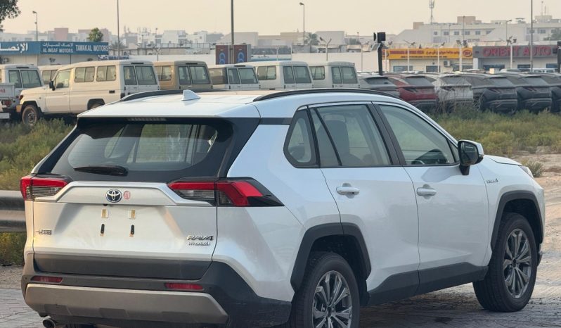 
								Rav4  2.5 hybrid luxury full									