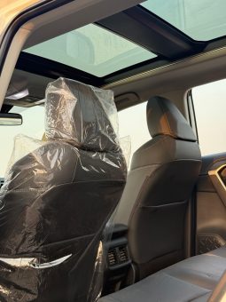 
										Rav4  2.5 hybrid luxury full									