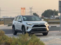 
										Rav4  2.5 hybrid luxury full									