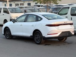 
										BYD QIN PLUS full									