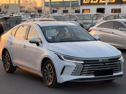 BYD Destroyer 05