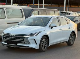 
										BYD Destroyer 05 full									