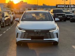 
										BYD Destroyer 05 full									