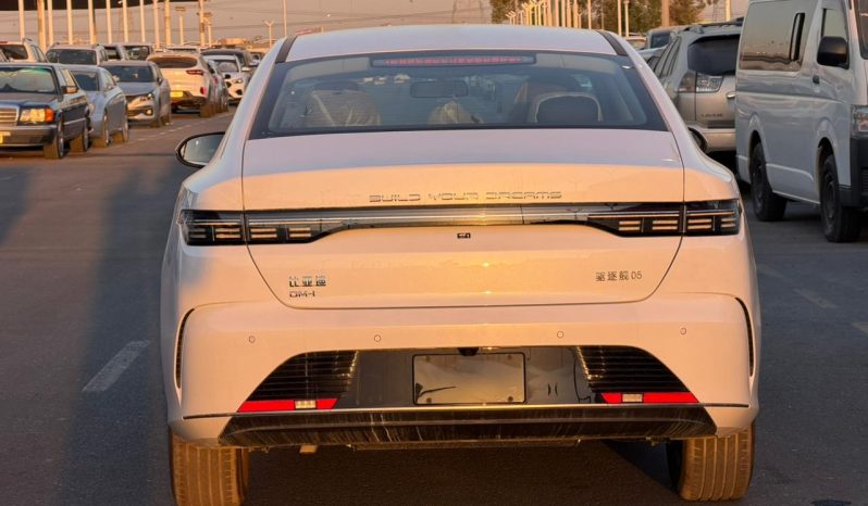 
								BYD Destroyer 05 full									